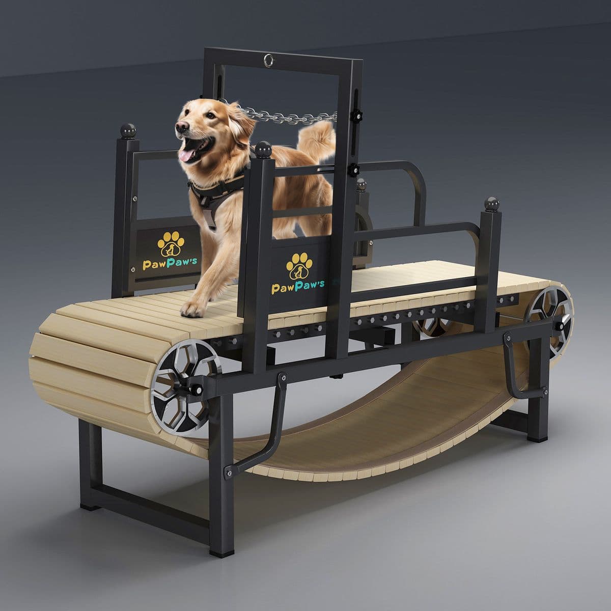 Close view of a slatted, motor-free canine treadmill